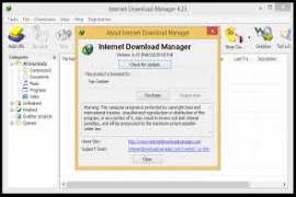 Internet Download Manager IDM 6