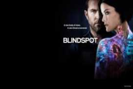 Blindspot season 3 episode 19
