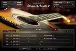 NI Session Guitarist Strummed Acoustic 2